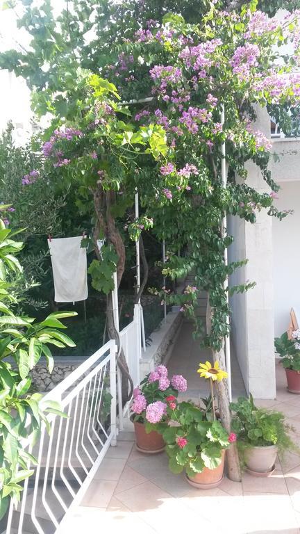 טרוגיר Apartments Dragan מראה חיצוני תמונה