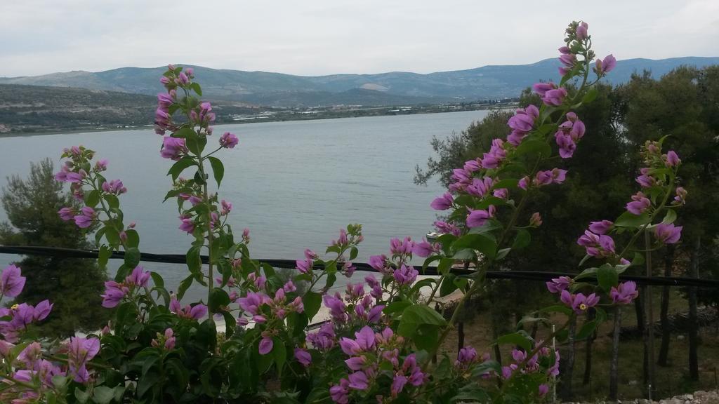 טרוגיר Apartments Dragan חדר תמונה